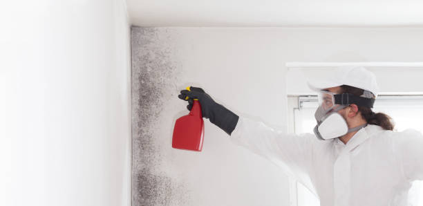 Best Mold Remediation for Specific Building Types in Sedona, AZ