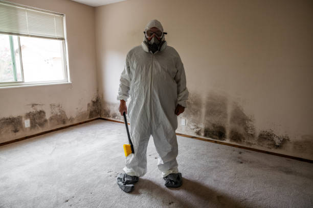 Best Mold Testing and Inspection Services in Sedona, AZ